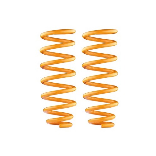 Rear Performance Coil Springs to suit Mercedes G-Wagen W460/W461/W463